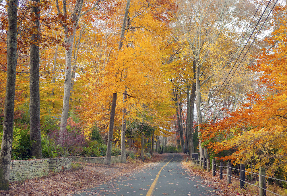 The ultimate Connecticut fall foliage tour Southforker