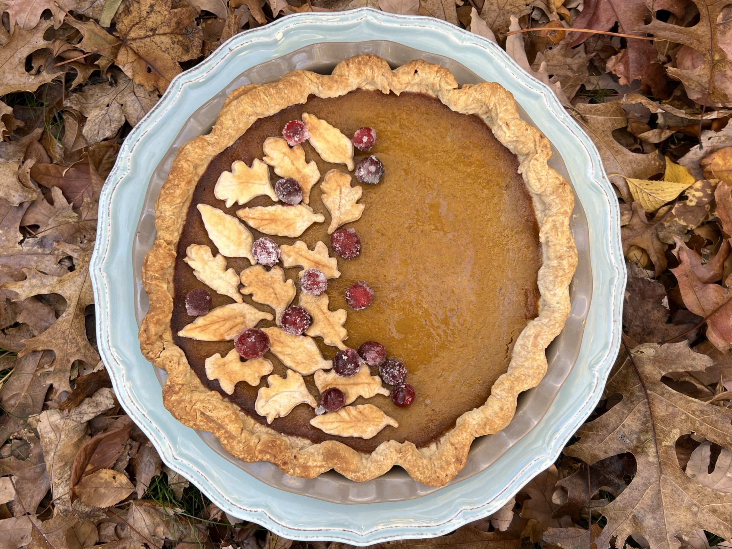Martha Stewart Thanksgiving Pie